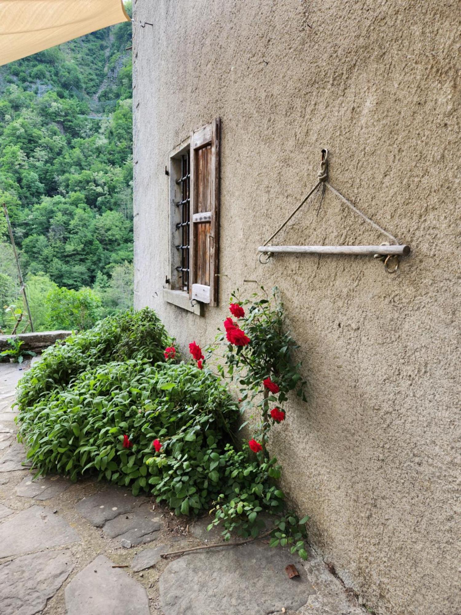 Contea Del Piano Villa Piteglio Bagian luar foto
