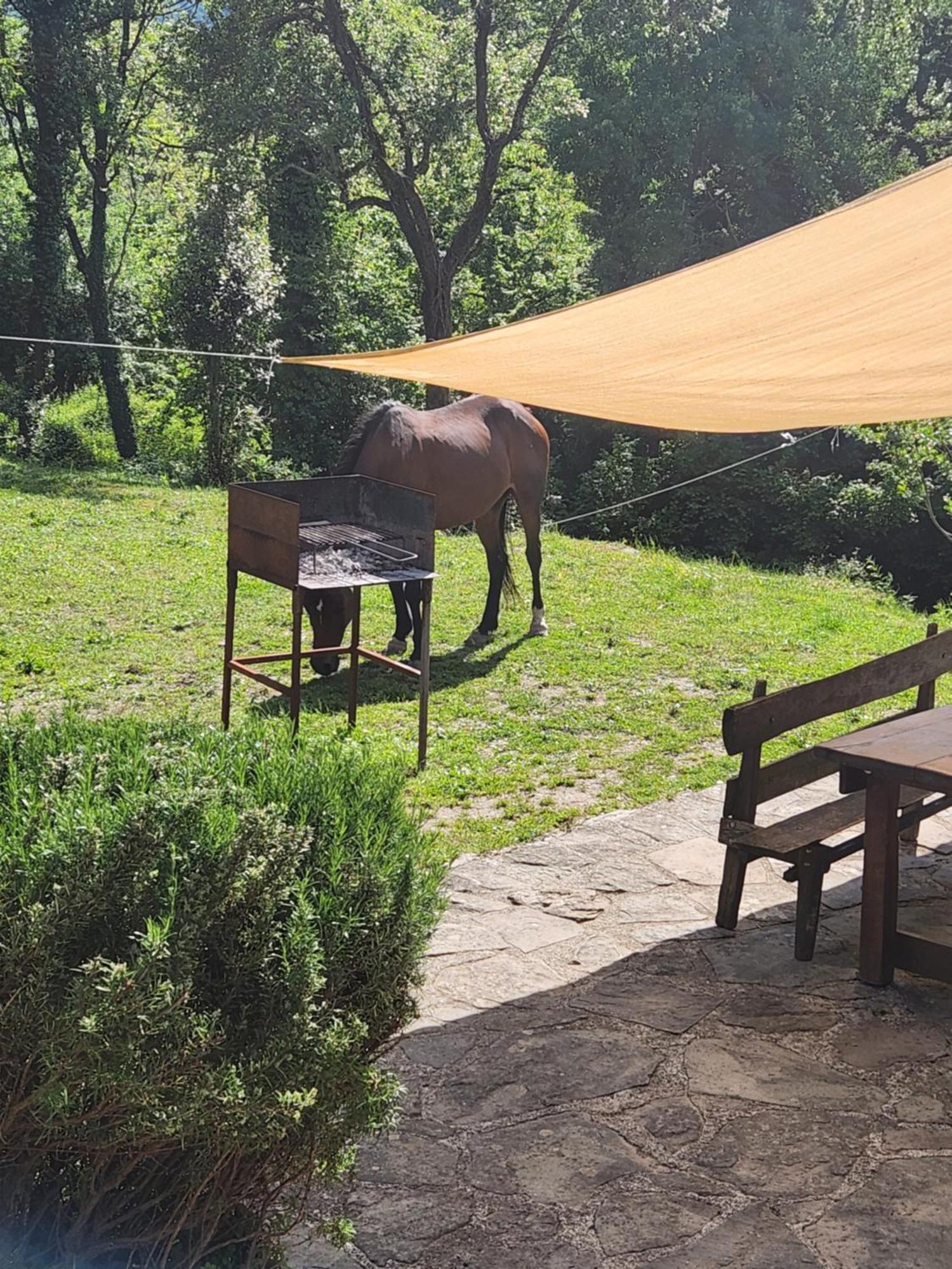 Contea Del Piano Villa Piteglio Bagian luar foto